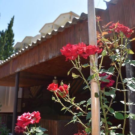 Terko Hotel Pansiyon Beldibi  Exterior foto